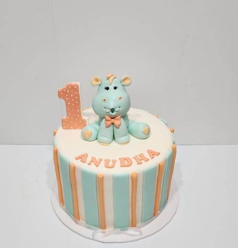 FIRST BIRTHDAY
