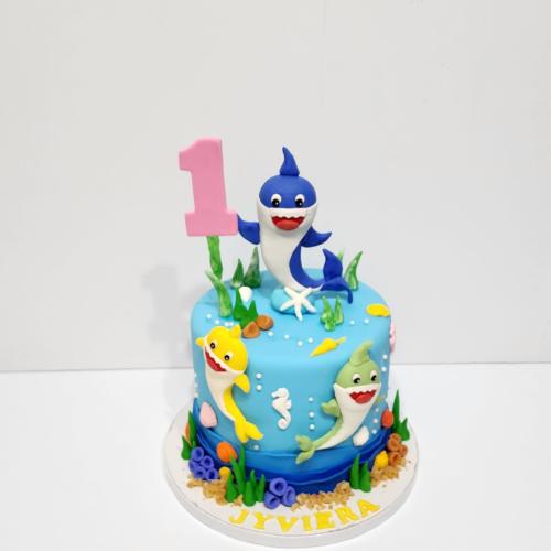 FIRST BIRTHDAY
