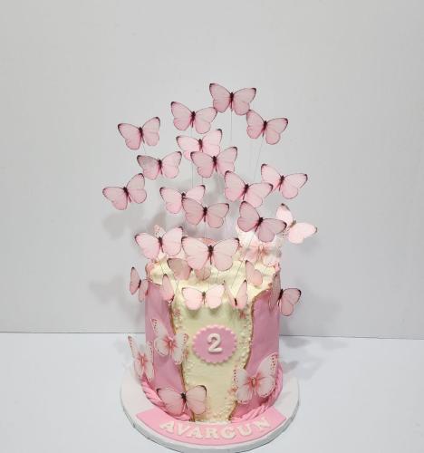 Butterflies cake